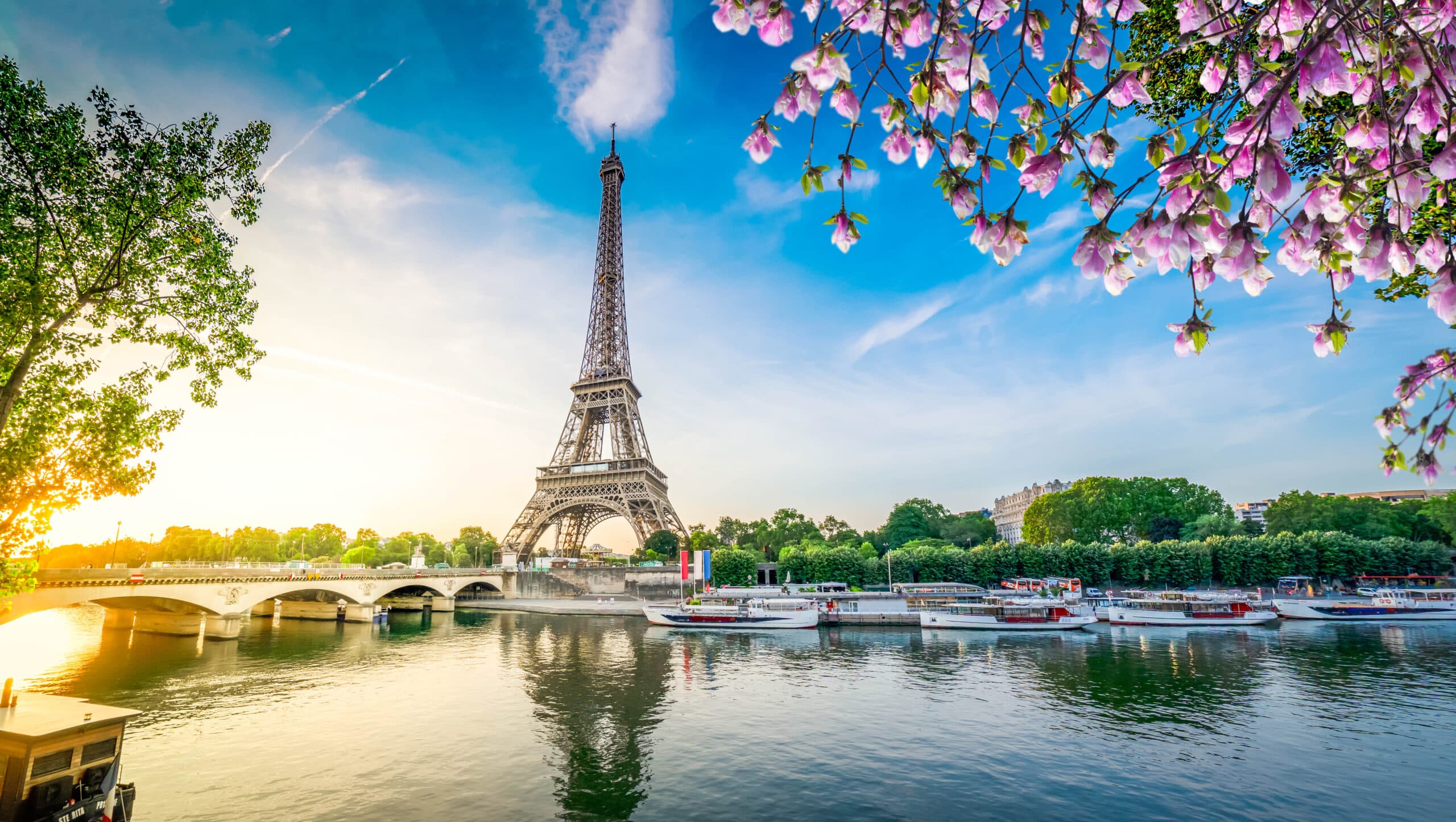 France Takes the Crown Unveiling Europe's Top Visa-Issuing Destinations