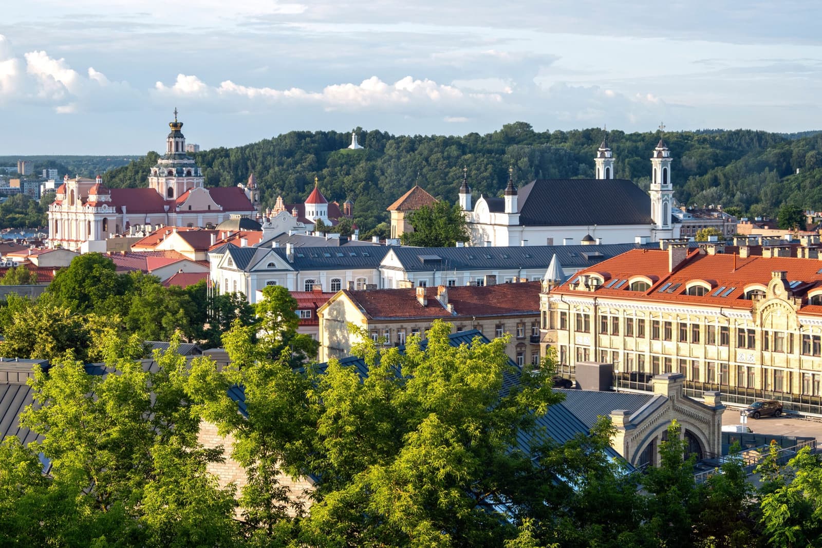 Vilnius International Film Festival