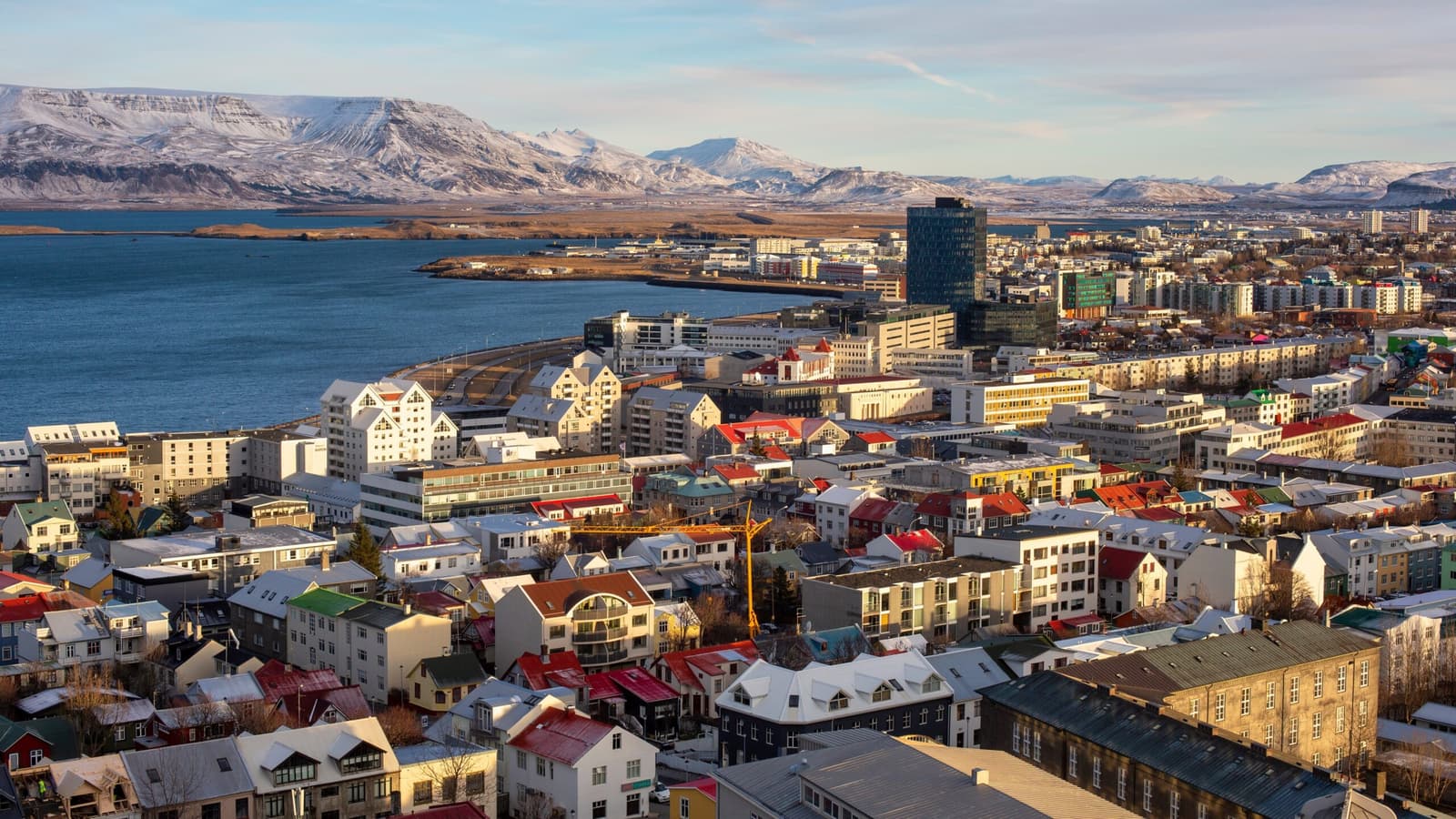 Reykjavik International Film Festival