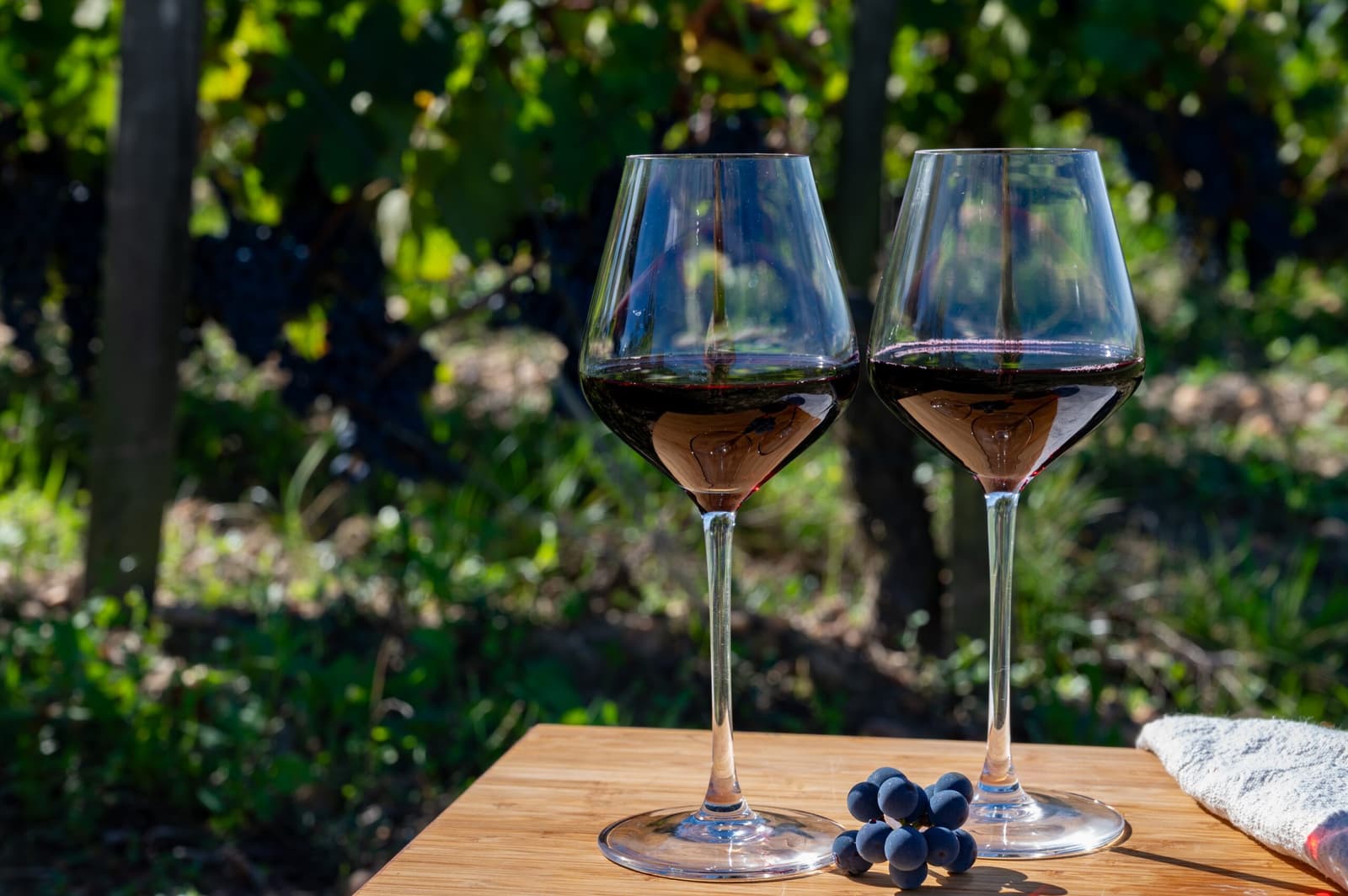 Bordeaux Wine Festival