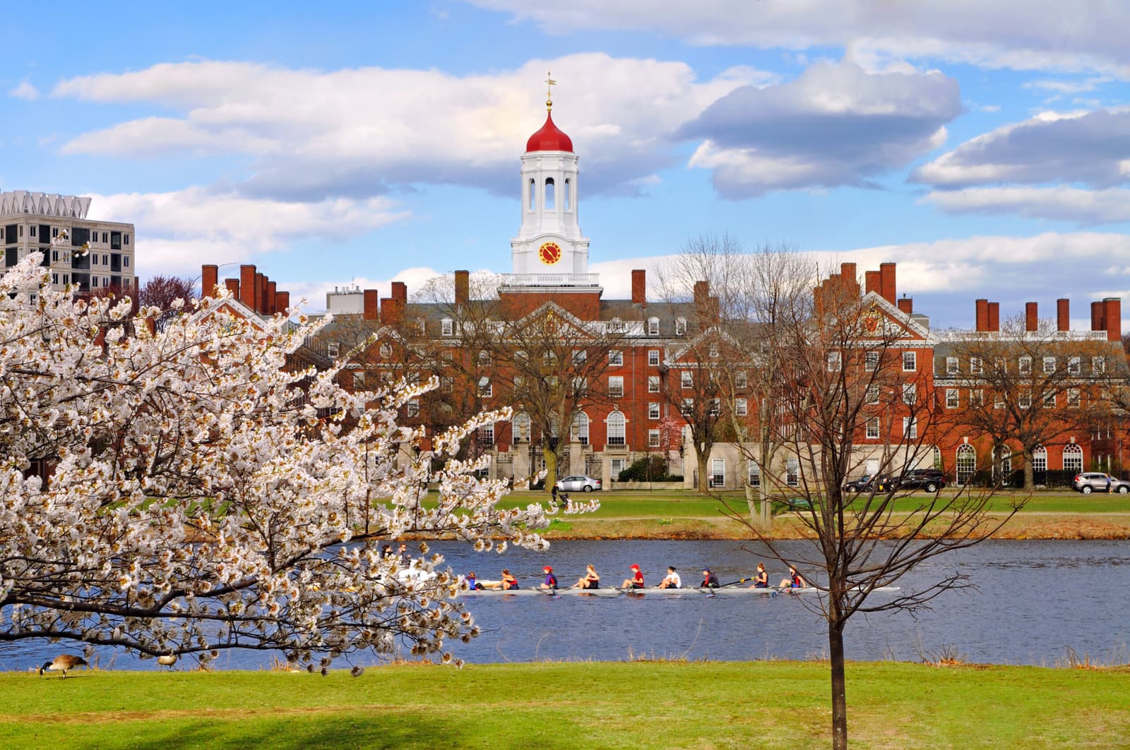 US Visa Rejections: Outdated System Stifles International Student Pipeline