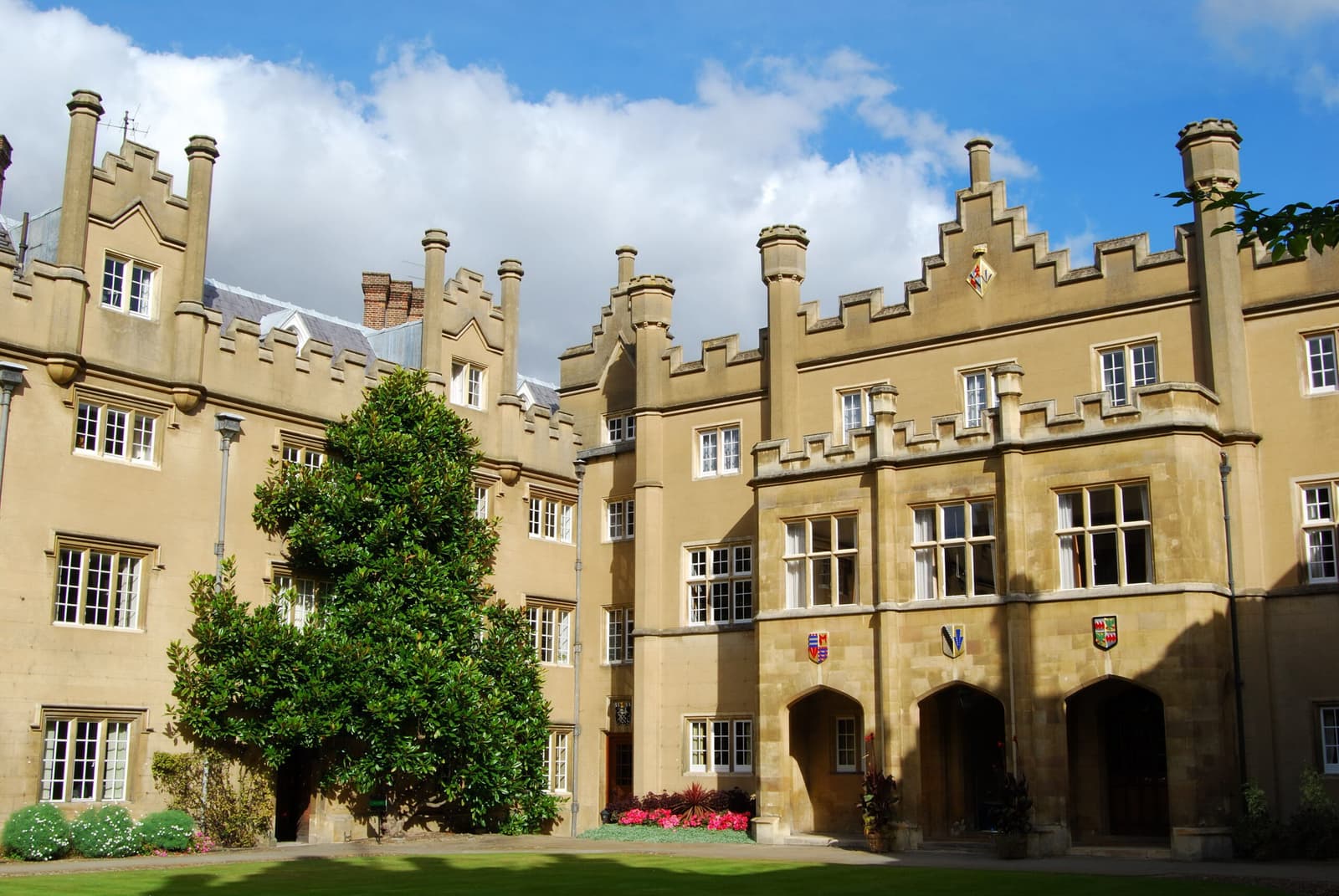 University of Sussex
