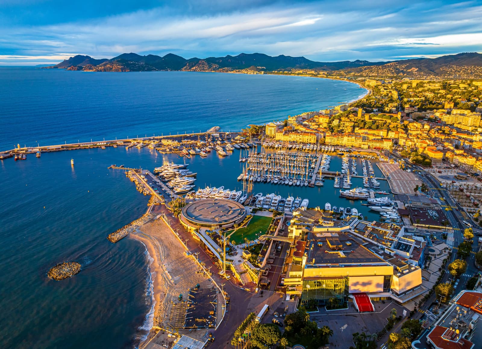 Cannes Film Festival
